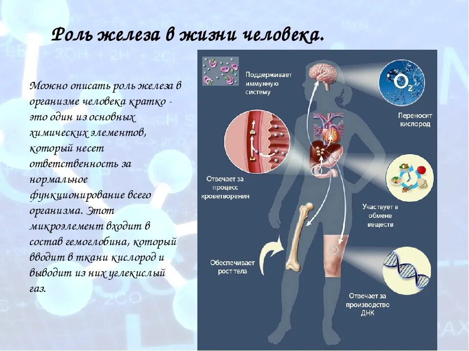 Роль элемента железа в организме. Иоль желез в организме человека. Роль железа в организме. Рольжелезо в организме. Роль железа для человека.