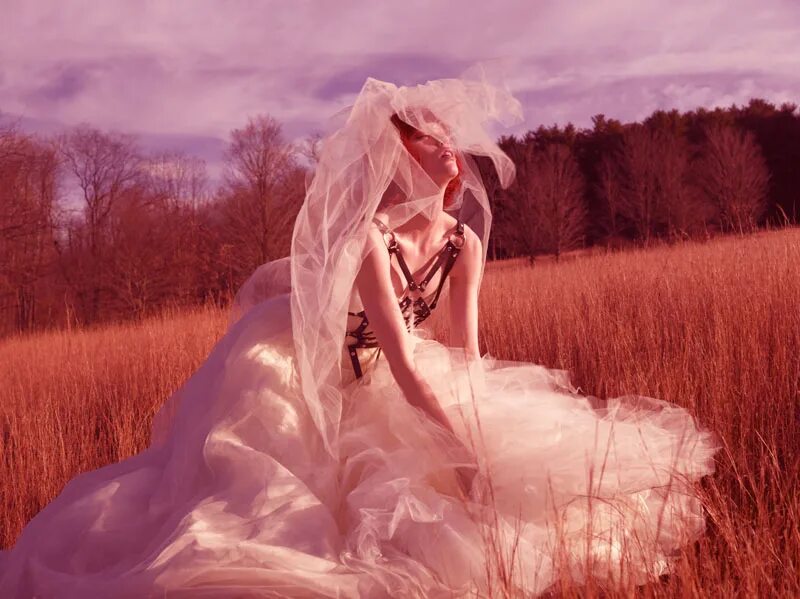 Джудит Бедард. Плачущая невеста. Фотосессия в стиле плачущей невесты. Плачущая невеста на поле. Картина плачущая невеста