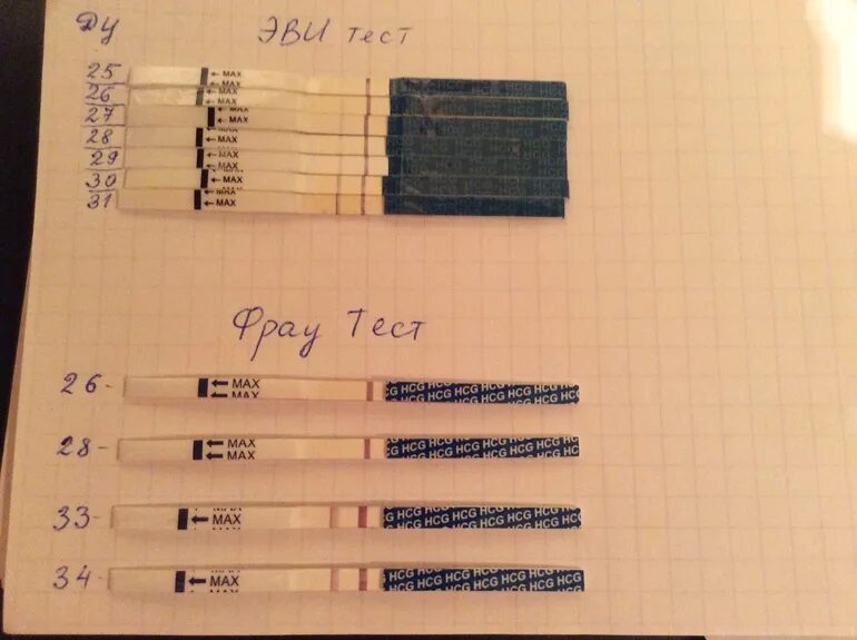 Тесты показывают разный результат. Фраутест динамика ХГЧ. Фраутест ДПО ХГЧ. Динамика тестов на беременность и ХГЧ по дням. Динамика тестов на беременность эвитест.