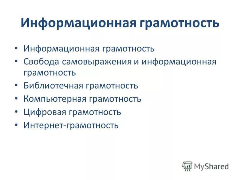 Программа информационная грамотность. Программа информационная грамотность