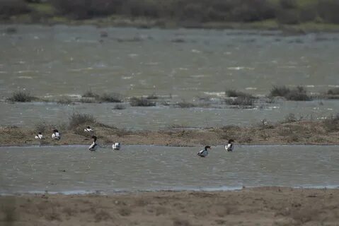 Вода вернулась