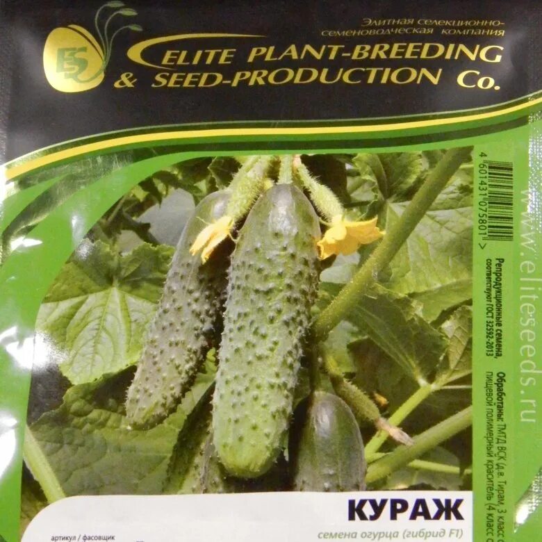 сорт огурцов кураж описание. сорт огурцов кураж описание. сорт огурцов кураж f 1 f1. рассада огурца f1 кураж. семена огурец кураж гавриш.