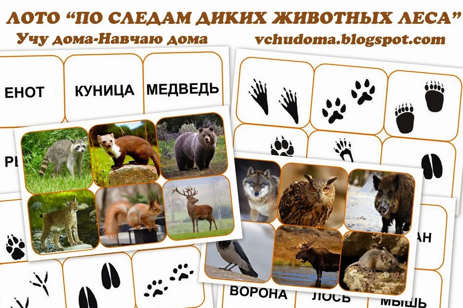 Идем по следам животных. Игра чьи следы лесных животных. следы животных. следы животных для детей. следы лесных животных для детей.