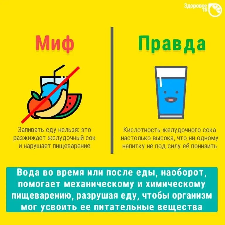 Можно ли на голодный желудок пить воду. Почему нельзя запивать еду водой. Почему нельзя запивать еду жидкостью. Почему нельзя пить воду во время еды. Почему нельзя запивать пищу.