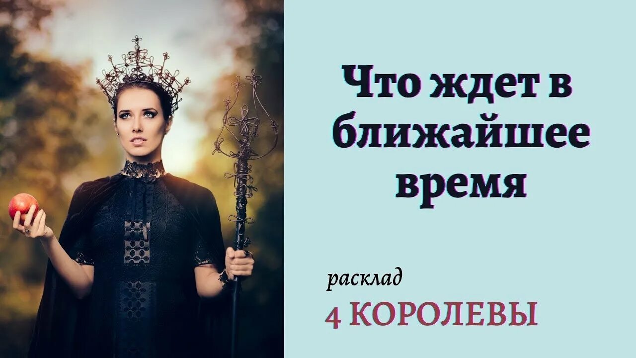 4 королевы ютуб. Короли таро. 4 королевы ютуб. 4 королевы ютуб. Карма и эми.
