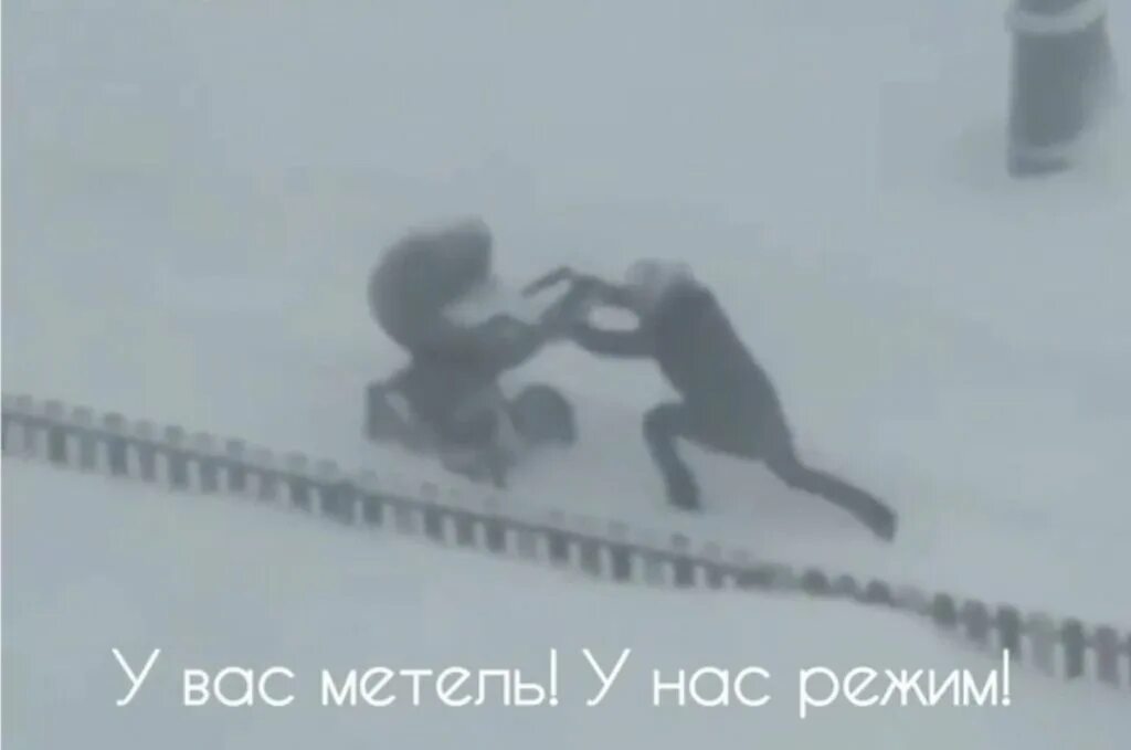 Как получить 24 вольт в метель. У вас метель у нас режим. понос в метель. курьер в метель.