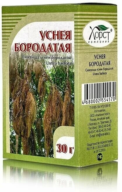 уснея бородатая лечебные. уснея бородатая русские корни. уснея бородатая для похудения. уснея бородатая лечебные отзывы. мох уснея бородатая.