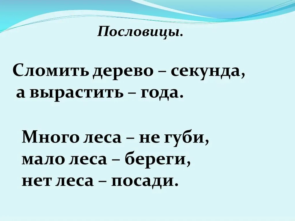 Человек природе пословица. Пословицы о природе. Пословицы на тему растения. Сломить дерево секунда а вырастить года. Поговорки о лесе.