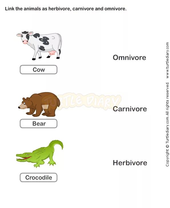 Carnivore перевод. Herbivore Carnivore Omnivore. Herbivore Carnivore Omnivore Worksheet. Carnivore Herbivores Omnivores animals Worksheets. Запиши животных по группе Herbivore Omnivore Carnivore.