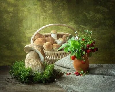 Добрый день картинки с грибами