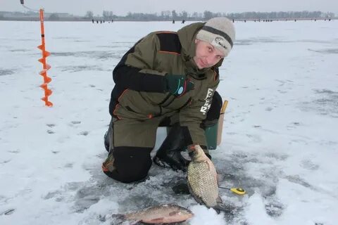 Карась зимой в пруду