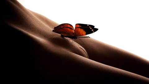 Slideshow бабочка моя порхай.