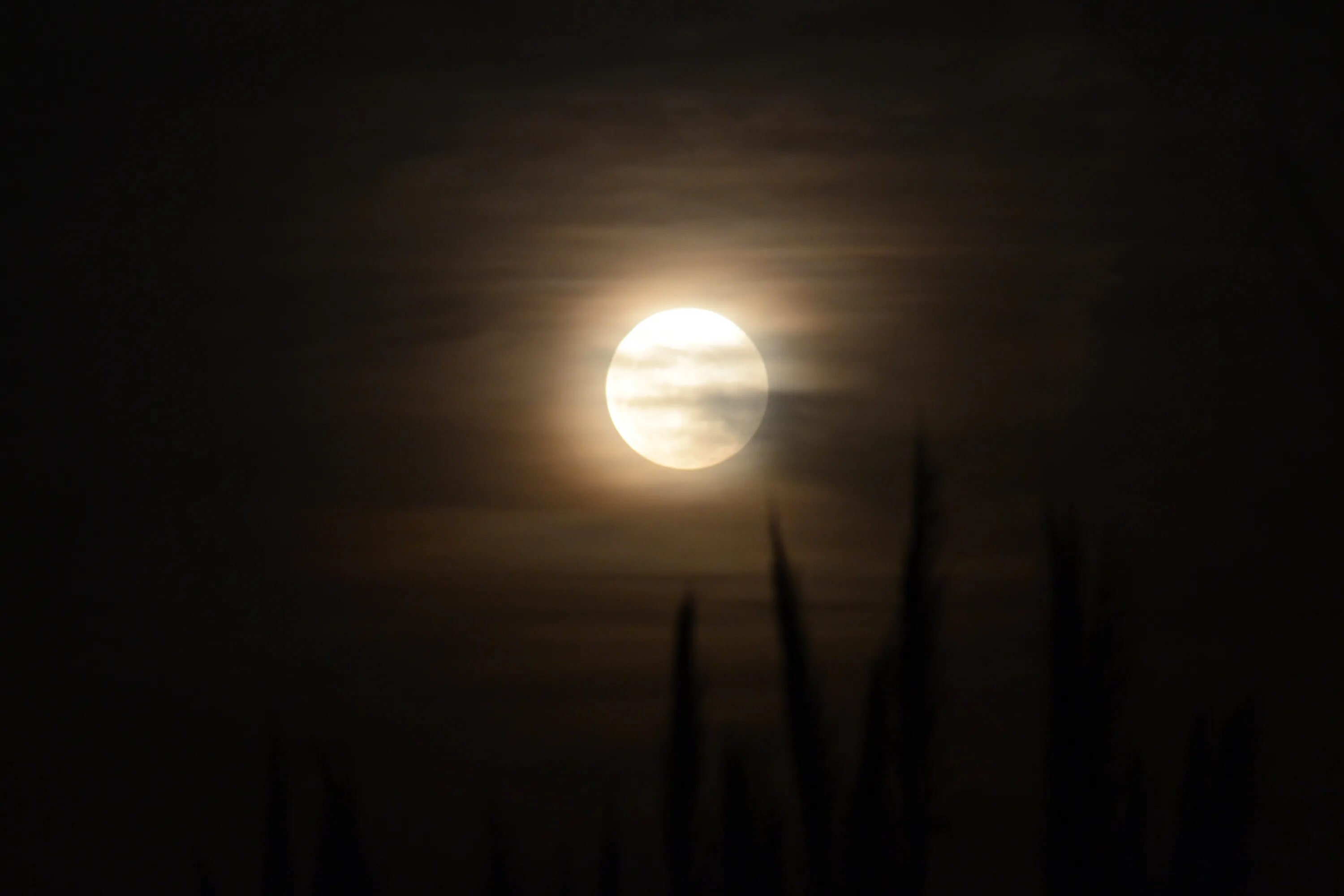 Лунная ночь в городе. Полночь. Т полночь. Полночь арт. Ночь луна.