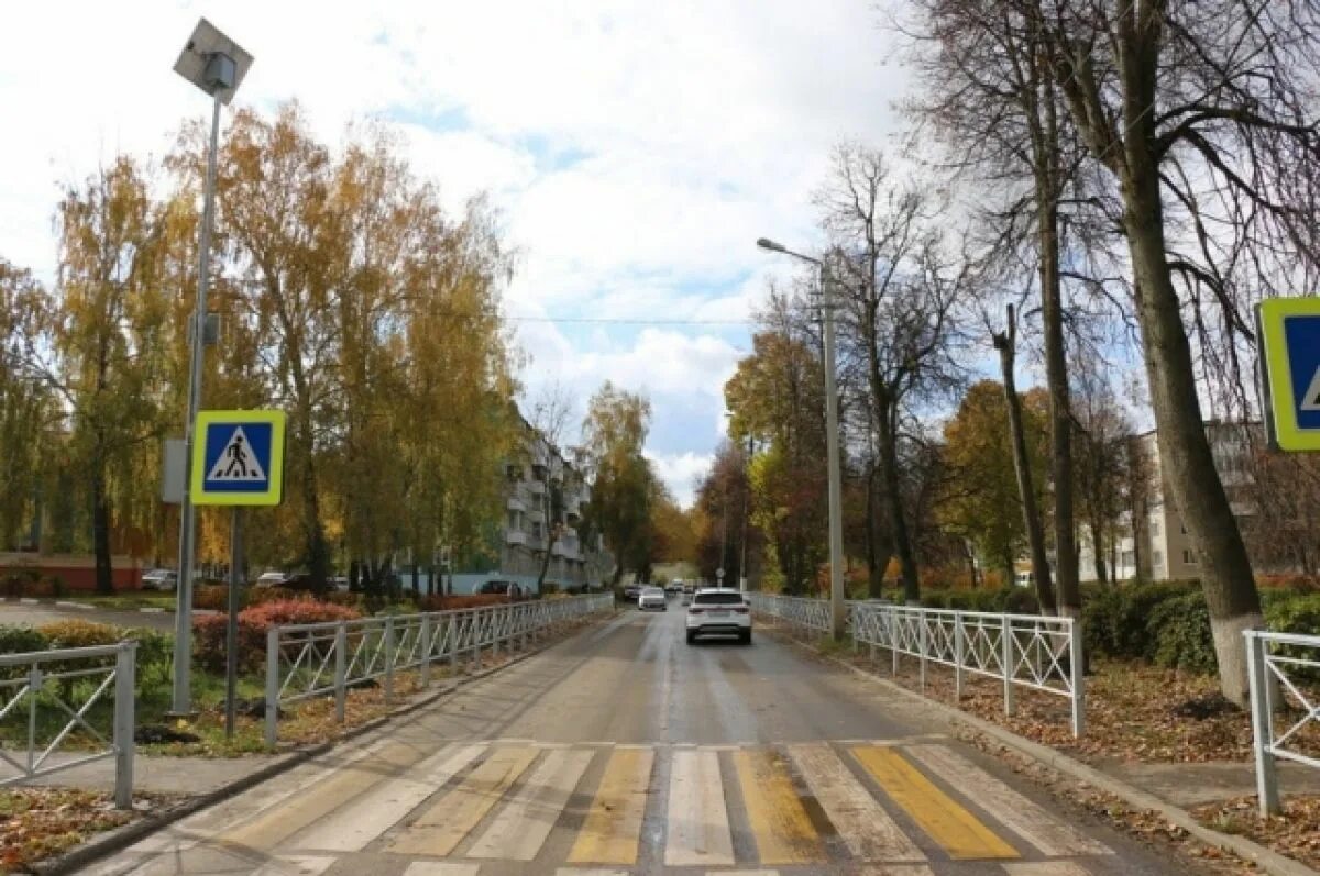 Пешеходная 27. Регулироваемый пешеходный переход. Ограждение тротуара. Пешеходная 27. Тамбов улица рязанова.