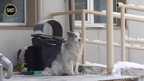 Дом потерявший хозяев