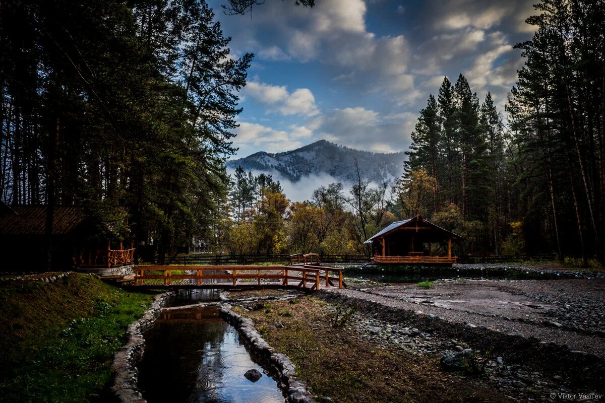 Камлак республика алтай. Камлак горный Алтай. Село Камлак Республика Алтай. Камлак горный Алтай достопримечательности. Ботанический сад село Камлак Республика Алтай.