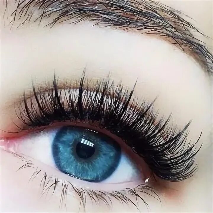 классическое наращивание ресниц с лучиками. ресницы 2д эффект кайли. ресницы лучики наращивание 2д мокрый. ресницы лучики наращивание 2д мокрый. наращивание ресниц лисий эффект 2д изгиб d.