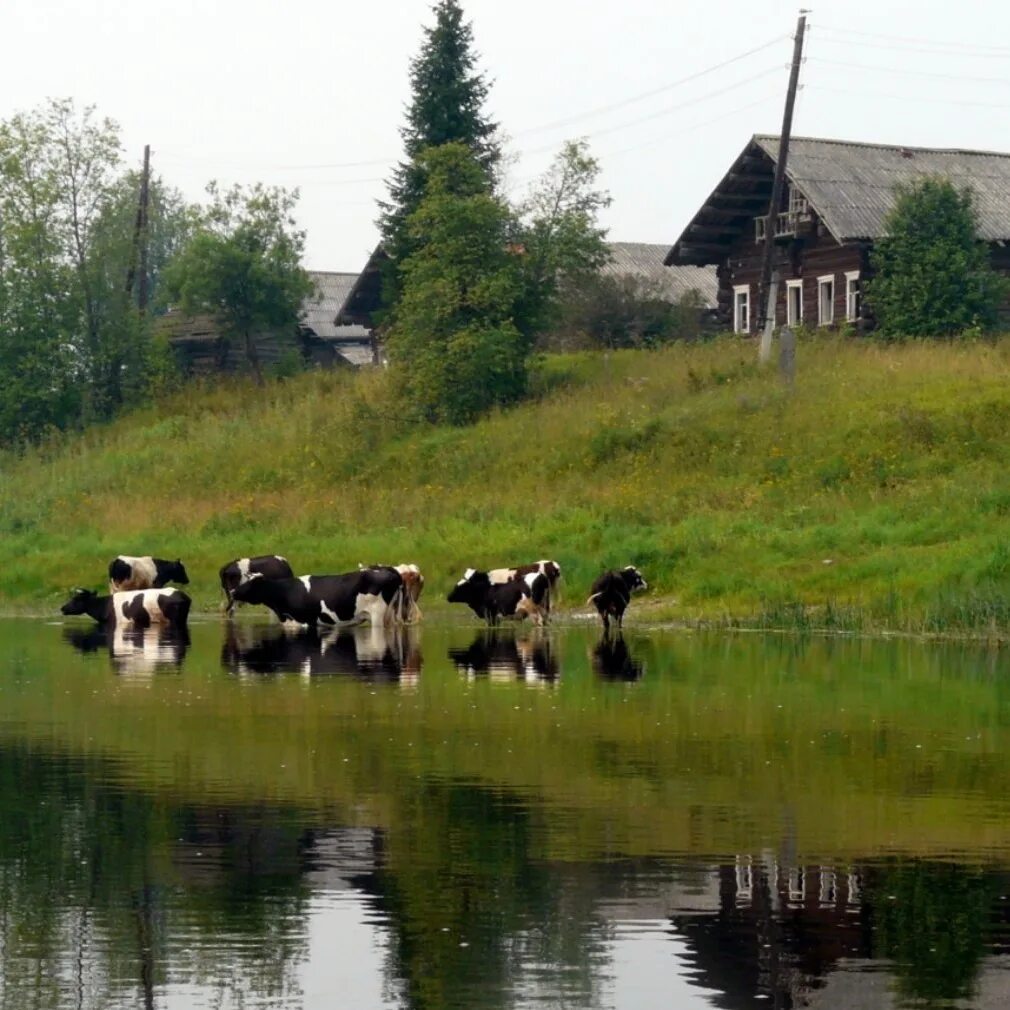 Жизнь села