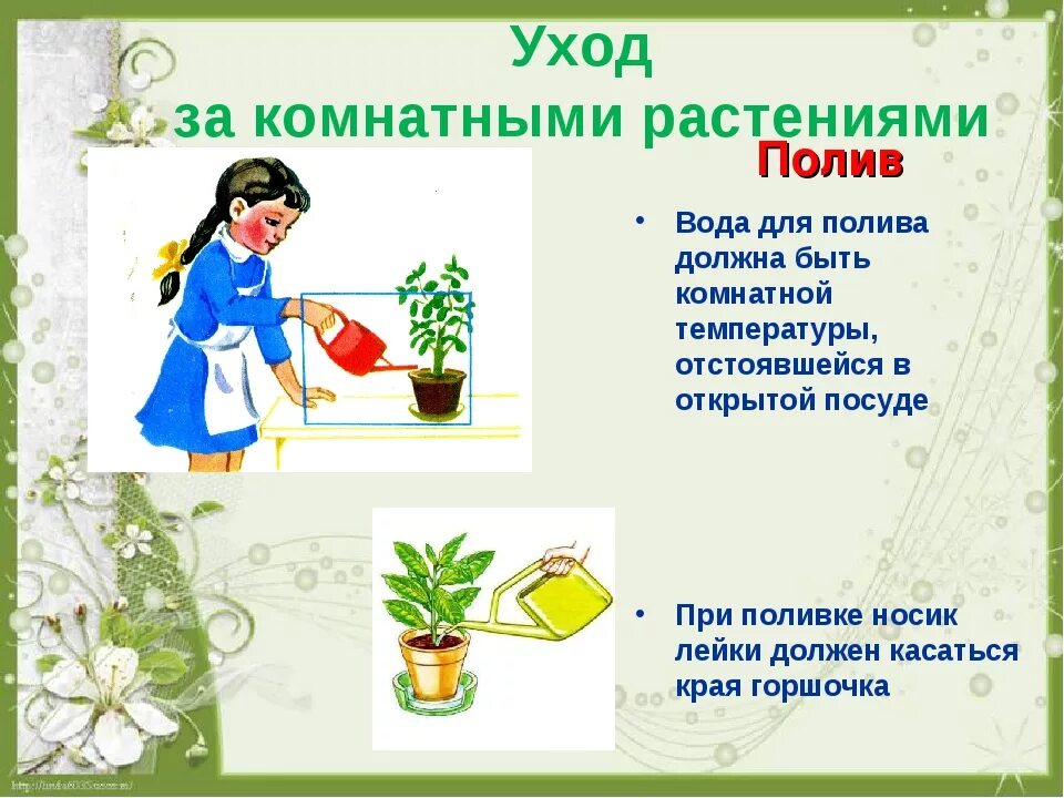 Как правильно поливать цветы