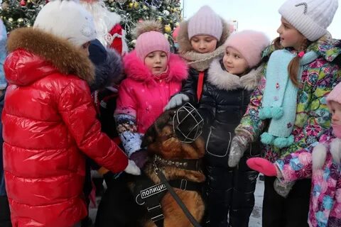 Курск новости декабрь 2023