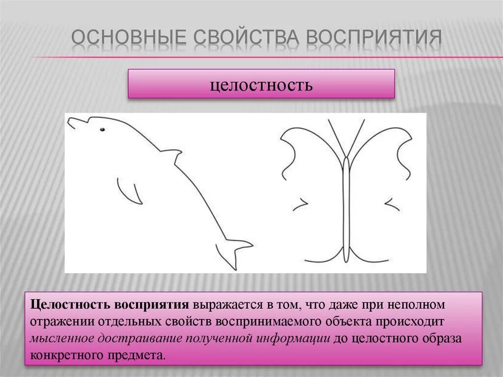 Перцептивный это простыми