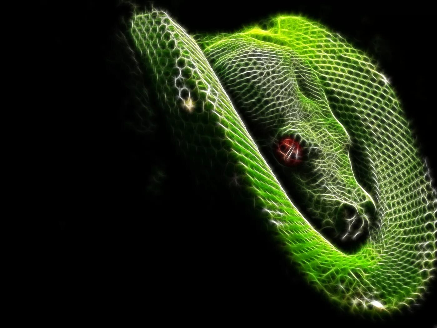 Snake x. Змея арт. Змеи обои. Неоновая змея. Крутые змеи.