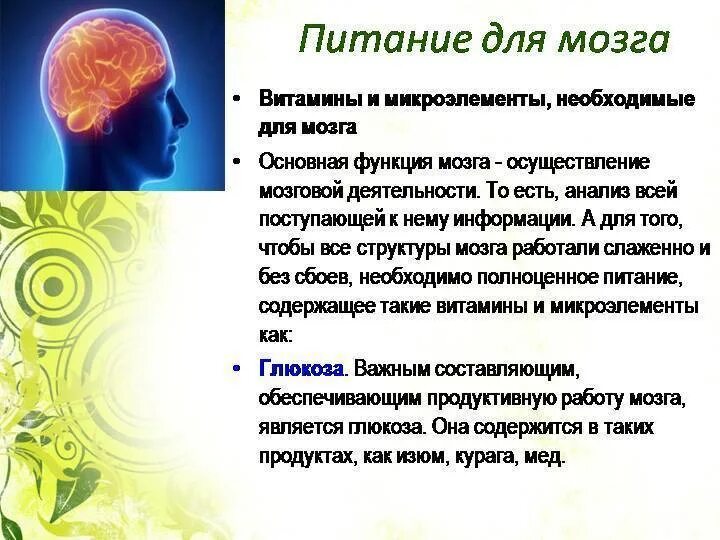 Таблетки для памяти взрослым. Гинкоум био эвалар. Для работы головного мозга и памяти. Для работы головного мозга и памяти. Для работы головного мозга и памяти.