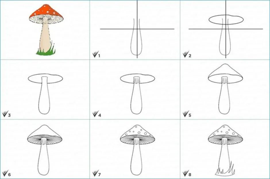 Грибы поэтапно. Рисование грибов белый гриб мухомор. Поэтапное рисование грибов. Нарисовать гриб поэтапно. Рисование гриба поэтапно.