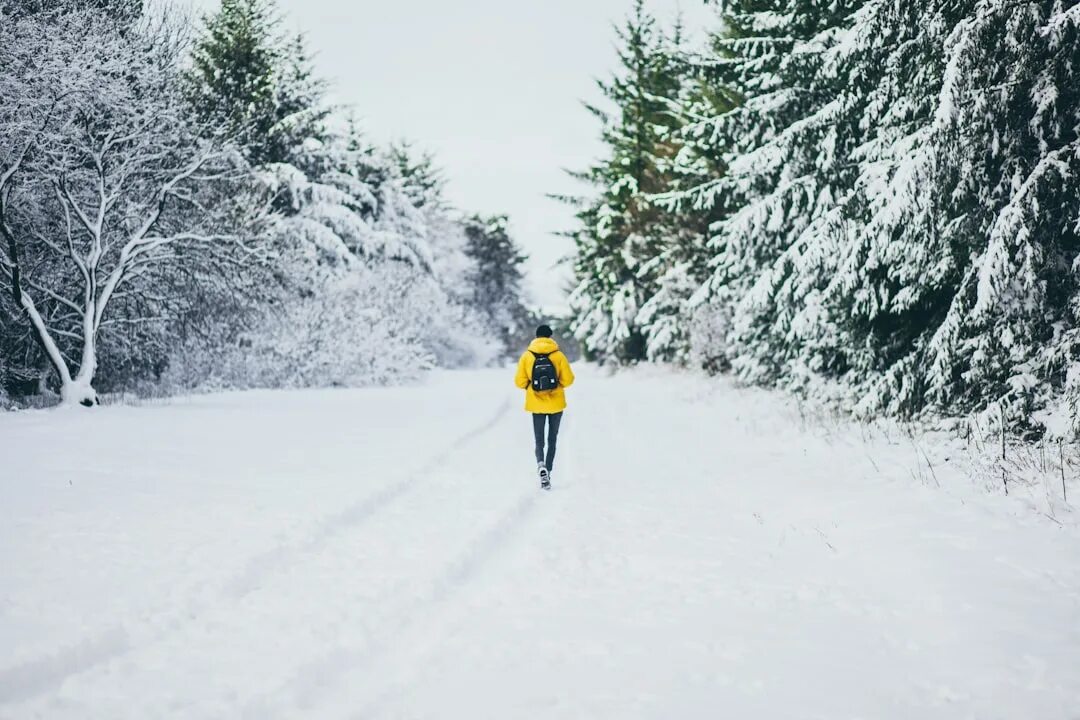 Зимняя природа. Зима спешила. Прогулка под снегом. Арты первого снега. Зима красавица песня.