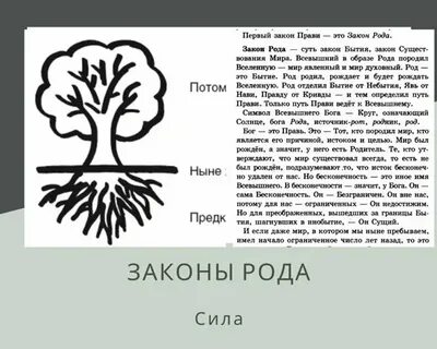 Работа с темой рода