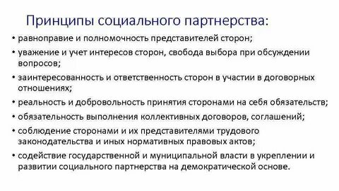 Общие социальные принципы это