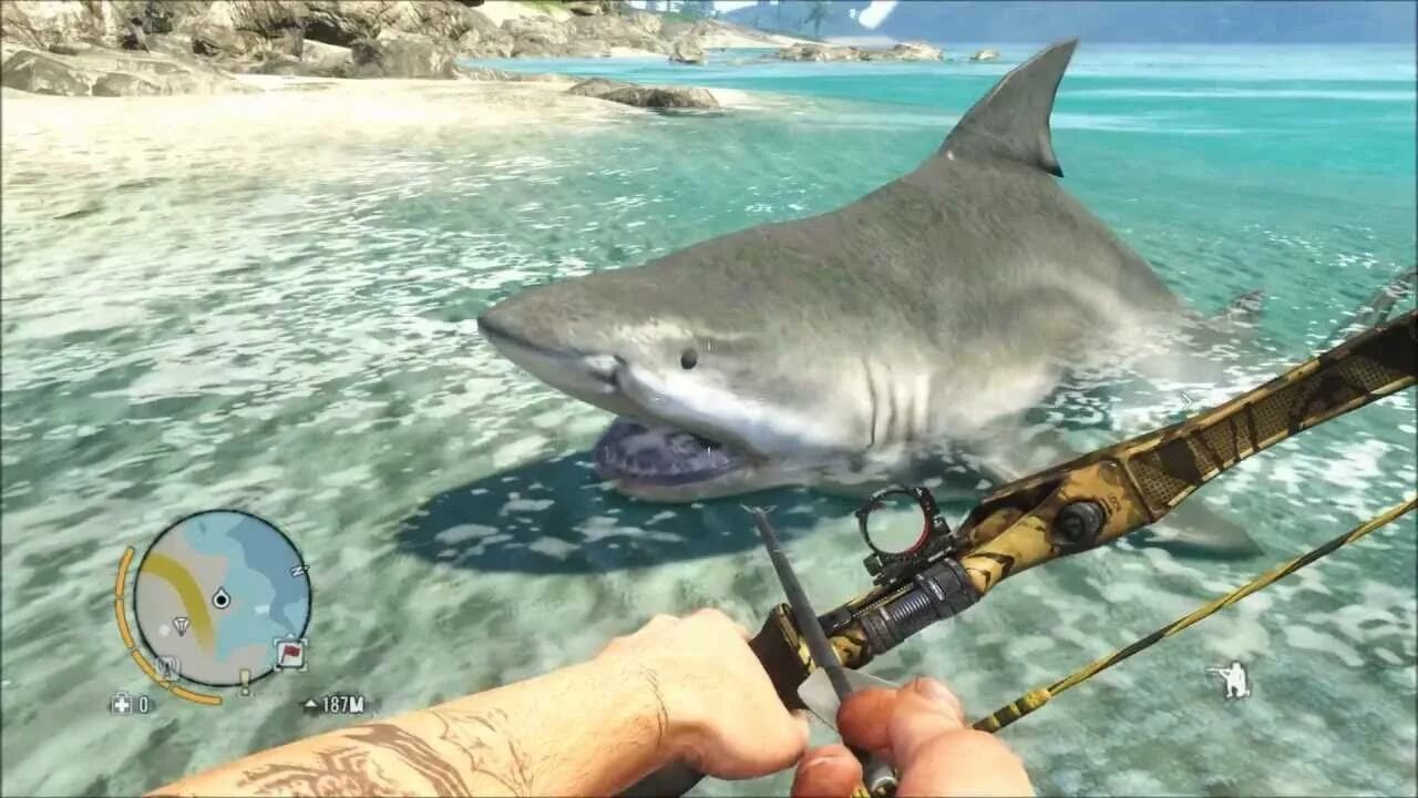 Акула в фар край 4. Far cry 5 акула. Far cry 3 акулы. Far cry 6 акулы. Варан фар край 3.