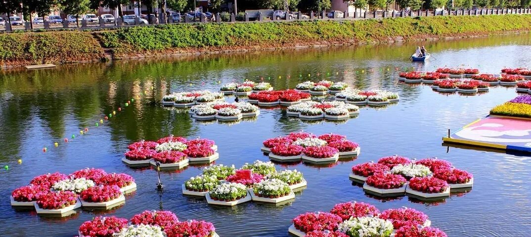 Плавающий цветник. Лодка в саду декор. Цветочница в виде лодки. Цветы для плавучих клумб. Клумба на воде.