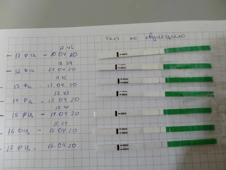 Беременность без овуляции. Mama Test на овуляцию. Тест на овуляцию. Мама тест на овуляцию. Тест на овуляцию mama Test.