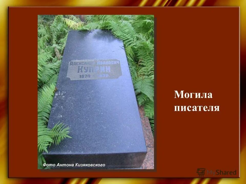 куприн могила на волковском кладбище. александр иванович куприн смерть. тургенев могила литераторские мостки. где похоронили куприна. куприн александр иванович могила.