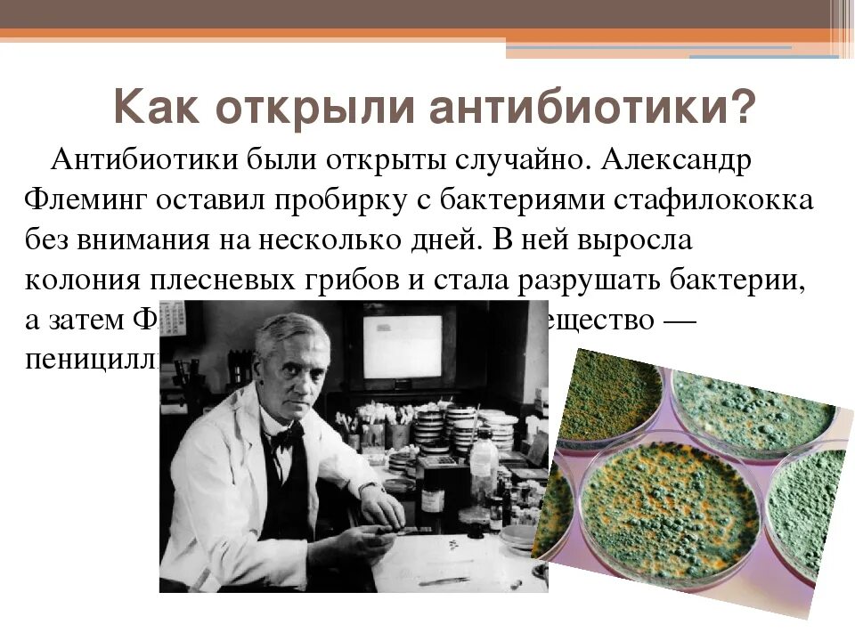 История открытия антибиотиков Флеминг кратко. Как открыли антибиотики. Кто и когда открыл антибиотики. Как изобрели антибиотики. Кто открыл антибиотики