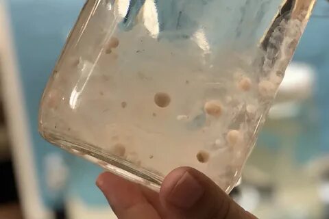 Микропластик в бутилированной воде