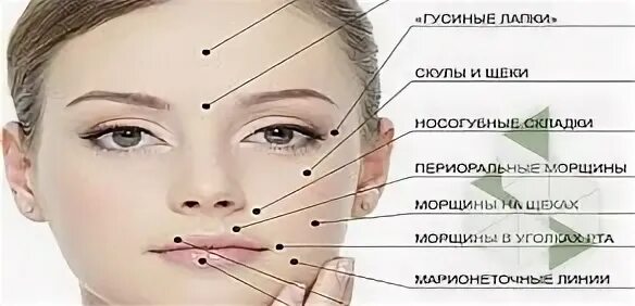 Носогубная область лица