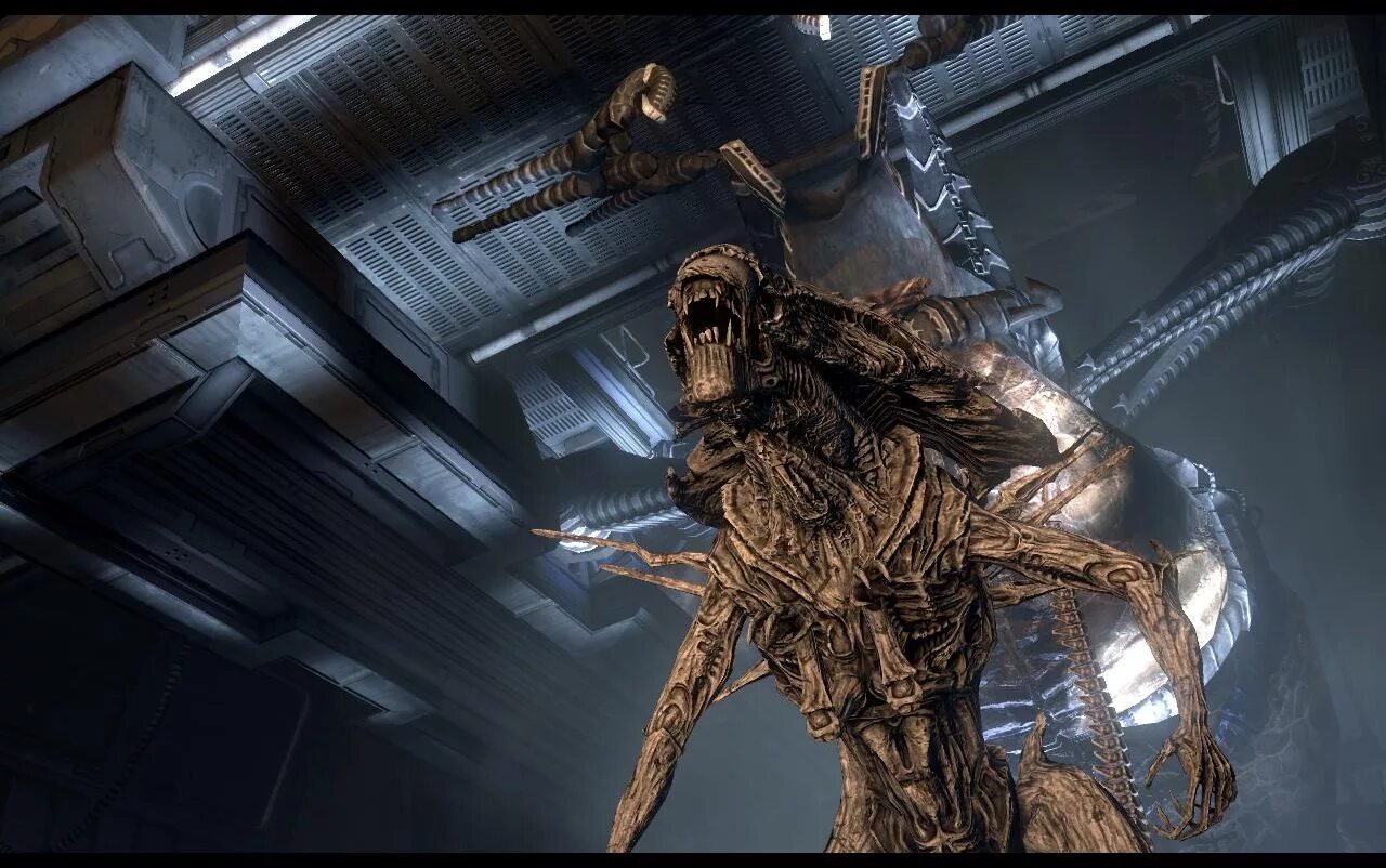 Чужой 2 хищники игра. AVP 2010 хищник. Aliens vs Predator 2010 чужой. Aliens versus Predator игра 2010.