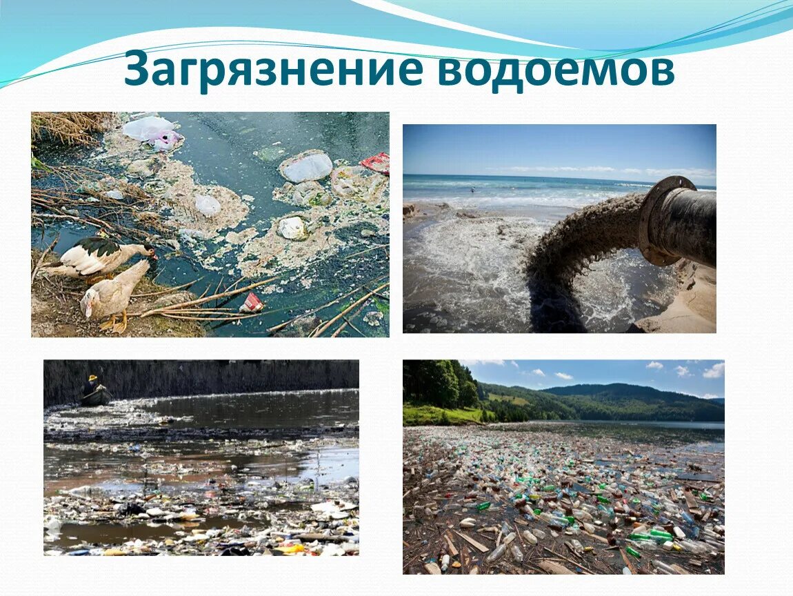 Экология водоемов. Проблемы водоемов. Загрязнение водоемов. Способы загрязнения воды. Как люди загрязняют воду.