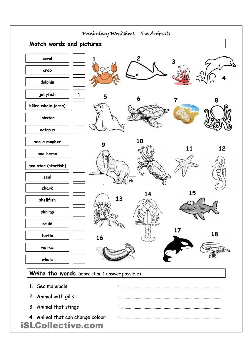 Worksheet b1. Животные на английском задания. Letter b прописи. Worksheet b1. Буква aa bb worksheet.