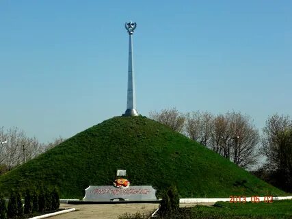Вид вечно