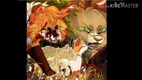 Warrior cats appledusk