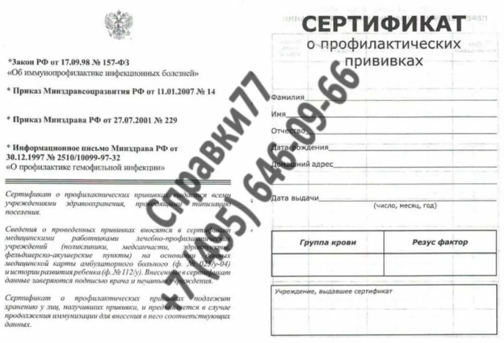 Форма 156/у-93 прививочный сертификат. Сертификат о прививках форма. Сертификат проф прививок ф 156/у-93. Бланк прививочного сертификата