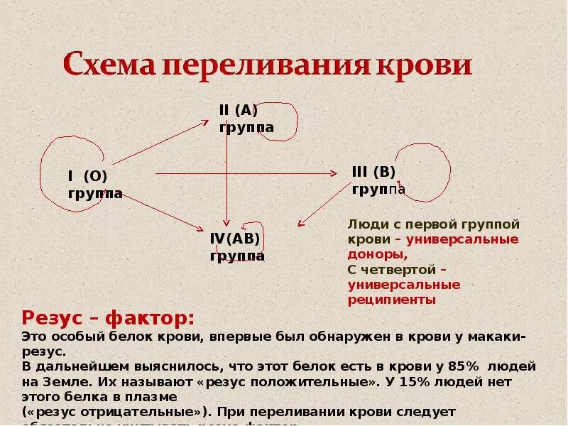 Гемотрансфузия группа крови. Схема переливания крови 8 класс биология. Группы крови схема переливания крови резус-фактор. Схема переливании Колви. Переливание кровичсхема.