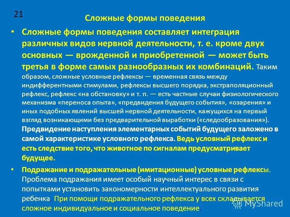 Высшая форма поведения