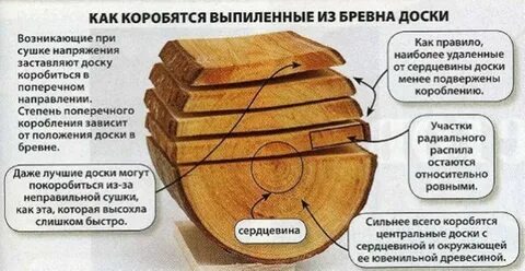 Сколько сохнет дерево