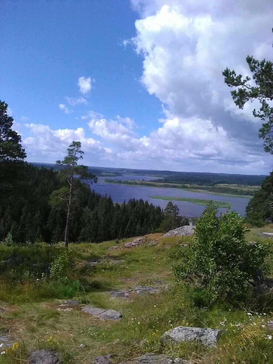 Пассо сортавала. Гора паасо сортавала. гора паасо карелия. городище паасо в сортавале. гора пассо сортавала.