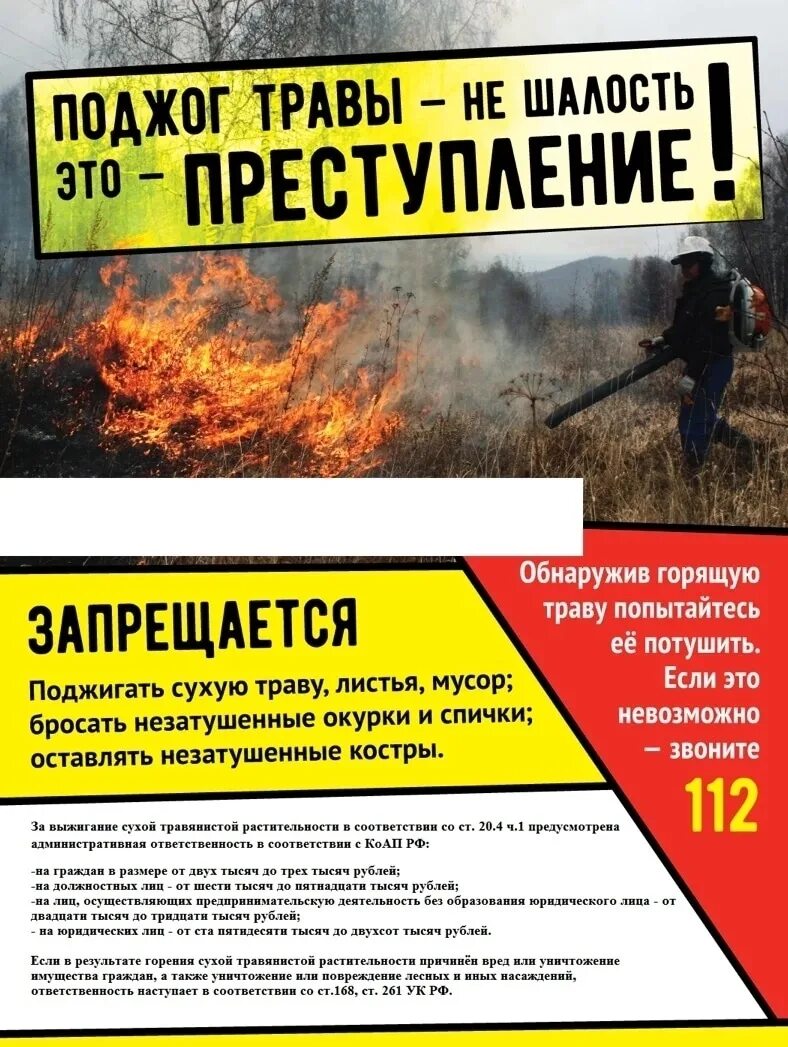 Штраф за поджог сухой травы. Пал сухой травы мчс. памятка не жгите сухую траву. плакат не жгите сухую траву. пал травы памятка мчс.