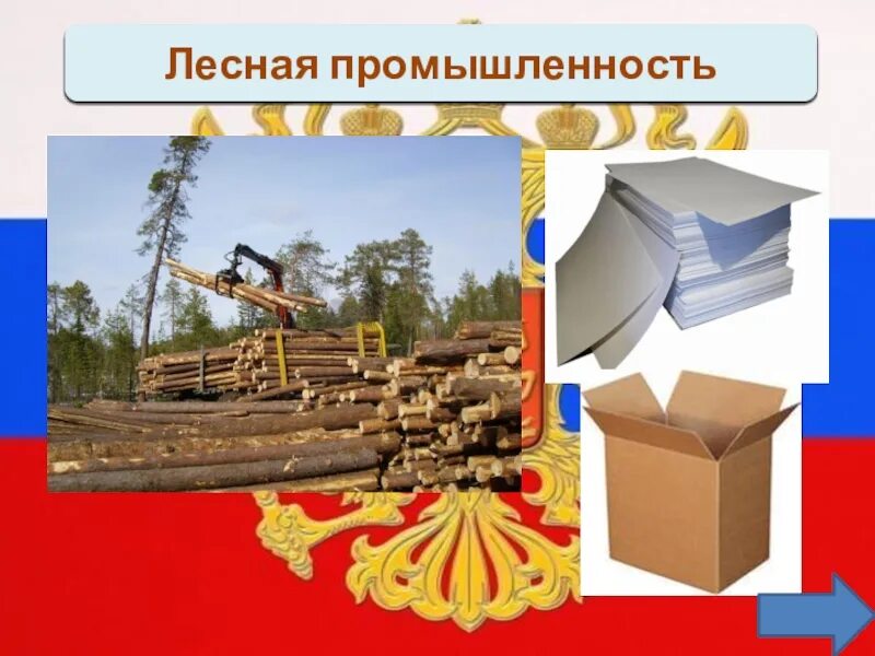 Лесная промышленность география 9 класс тесты. Лесная промышленность центральной россии. проект лесная промышленность. лесная промышленность вывод. полиграфия лесная промышленность.